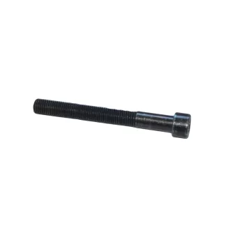 VOLVO Round fuel tank strap bolt